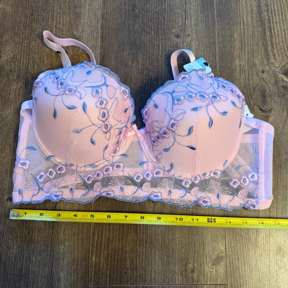 Carrie Amber Intimates Pink Blue Floral Embroidered Bra Coquette Victorian 38D - Picture 7 of 10